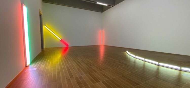 Dan Flavin, Ausstellung Kunstmuseum Basel, 2.3. bis 18.8.2024